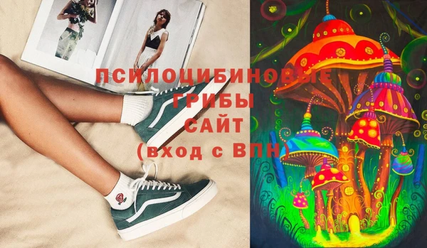 трава Абинск