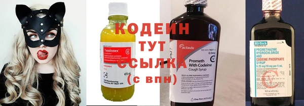 ГАЛЛЮЦИНОГЕННЫЕ ГРИБЫ Вуктыл