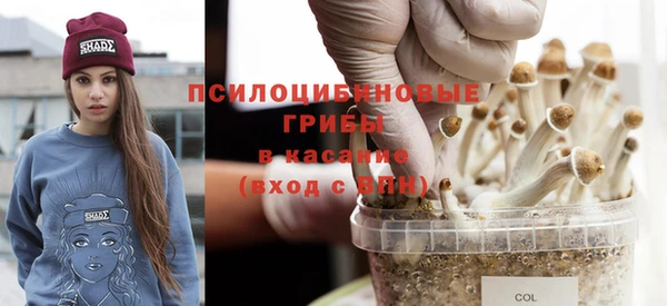 тгк Абдулино