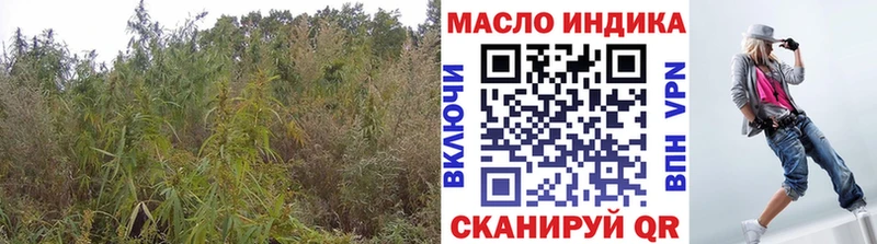ТГК вейп  blacksprut ONION  Касли 