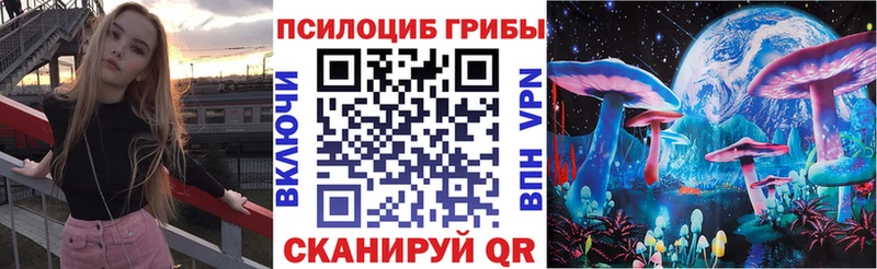 Галлюциногенные грибы Psilocybine cubensis Касли